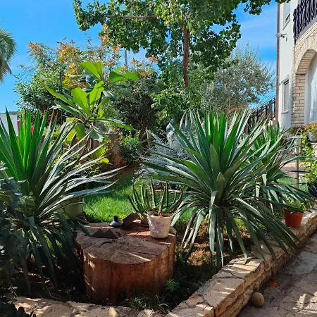 Snjezana Carev Gostinjska kuća Jezera