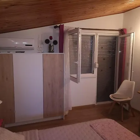 Snjezana Carev 3*