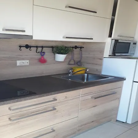 Gostinjska kuća Snjezana Carev 3*